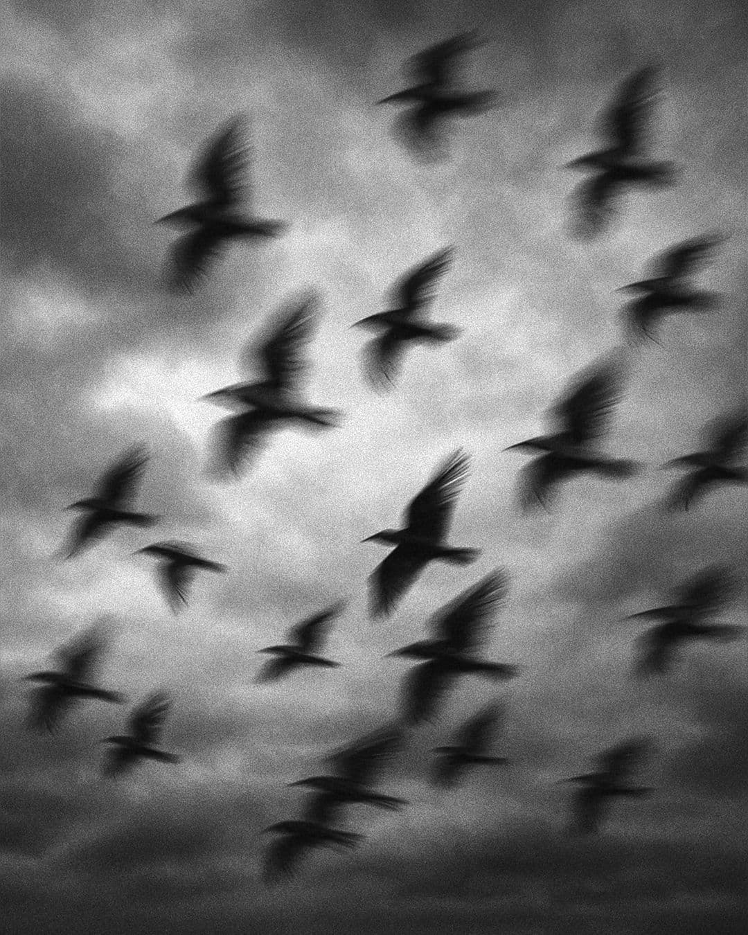 Cuáles son las marcas de suplementos más fiables y recomendadas por expertos