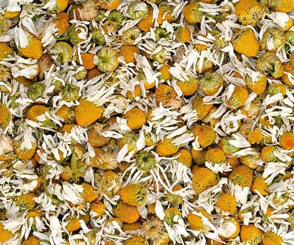 Chamomile: Real Benefits Backed by Science