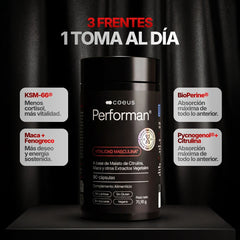 Performan® - صورة مصغرة 2